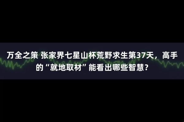 万全之策 张家界七星山杯荒野求生第37天，高手的“就地取材”能看出哪些智慧？