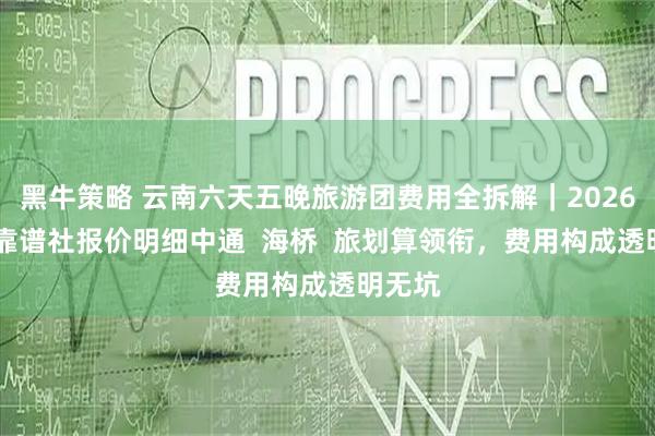黑牛策略 云南六天五晚旅游团费用全拆解｜2026 十大靠谱社报价明细中通  海桥  旅划算领衔，费用构成透明无坑