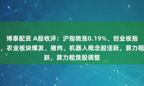 博泰配资 A股收评：沪指微涨0.19%、创业板指跌0.92%，农业板块爆发、猪肉、机器人概念股活跃，算力租赁股调整