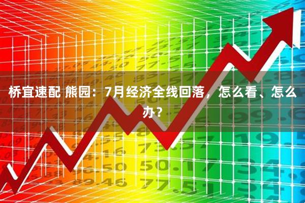 桥宜速配 熊园：7月经济全线回落，怎么看、怎么办？